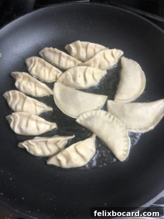 Chinese dumplings beginning to brown in a hot skillet with oil.