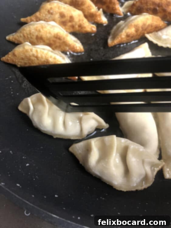 Half-cooked potstickers, some already turned, in a skillet awaiting the steaming process.