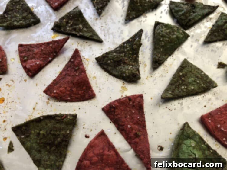 Golden Baked Corn Tortilla Chips 5 Baked corn tortilla chips