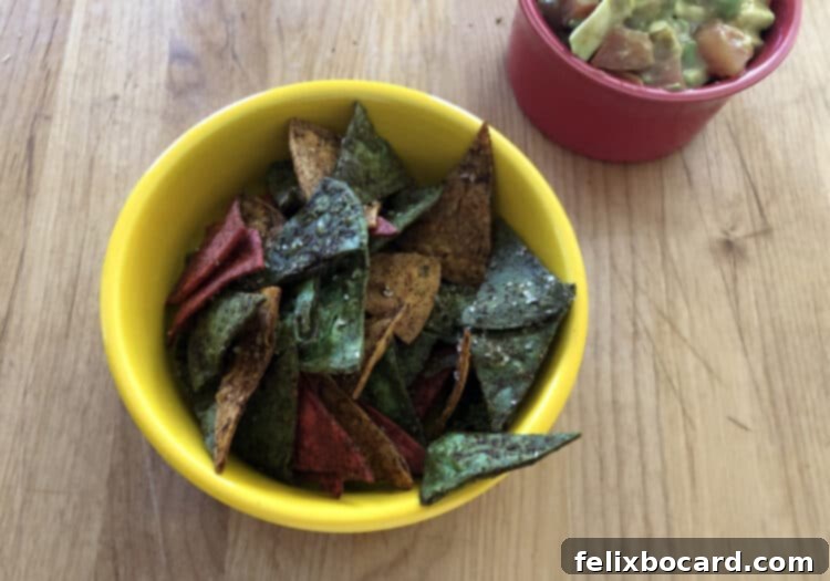 Golden Baked Corn Tortilla Chips 6 baked corn tortilla chips