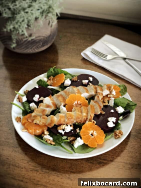 Goat Cheese Beet Salad 5 Beet salad with goat cheese and chicken, ready to be served