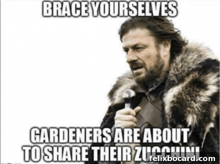 Golden Zucchini Corn Fritters 2 Funny picture regarding zucchini abundance in summer