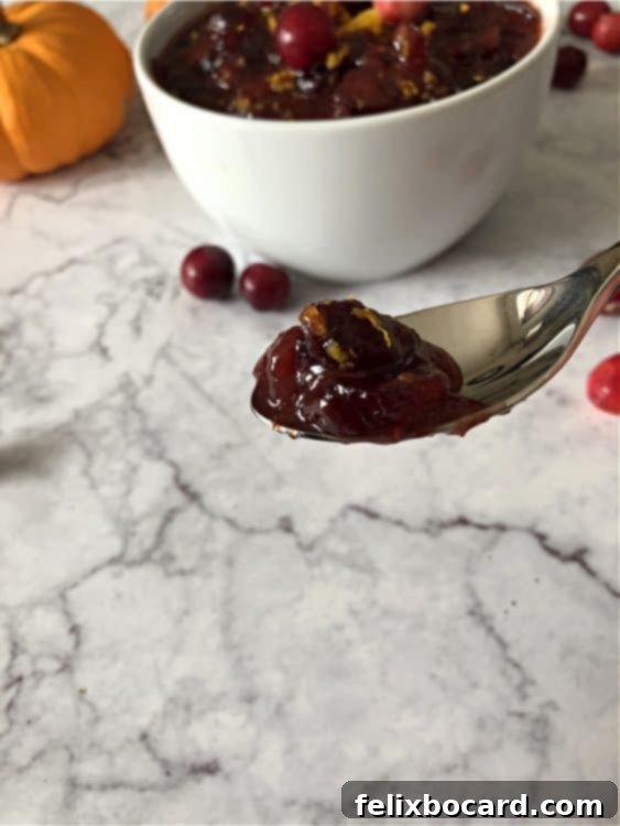 spoon of cranberry sauce with bowl in background