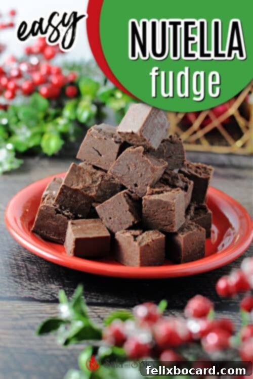 pin for nutella fudge