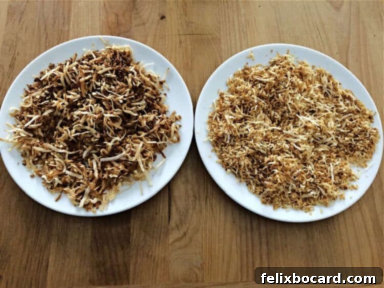 Toasted coconut on 2 small plates