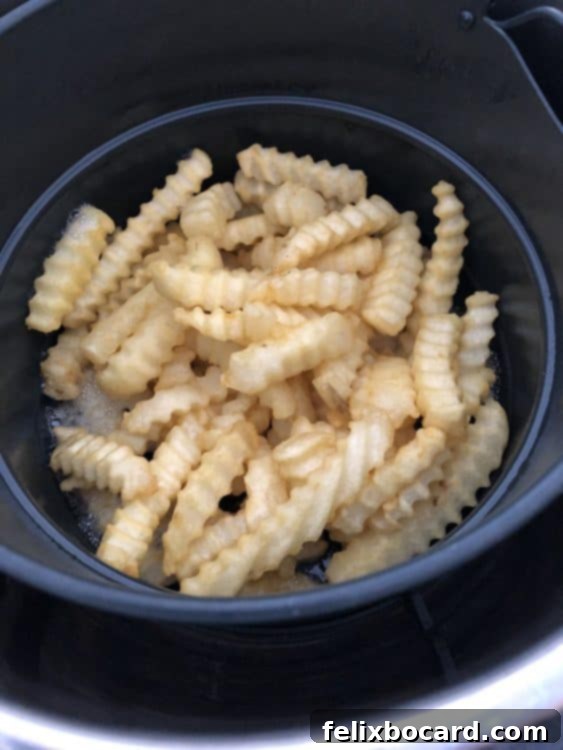 Crispy Air Fryer Frozen French Fries 3 Fries ready to shake