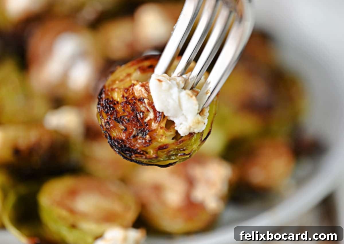 Roasted Brussels Sprouts with Tangy Goat Cheese and Balsamic Glaze 9 Roasted Brussels sprout with goat cheese on a fork.