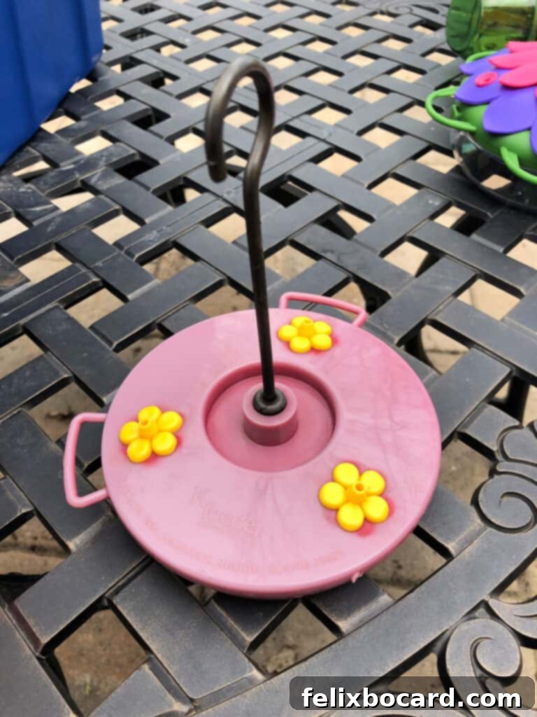 The Art of Hummingbird Feeding 7 Old, beloved hummingbird feeder