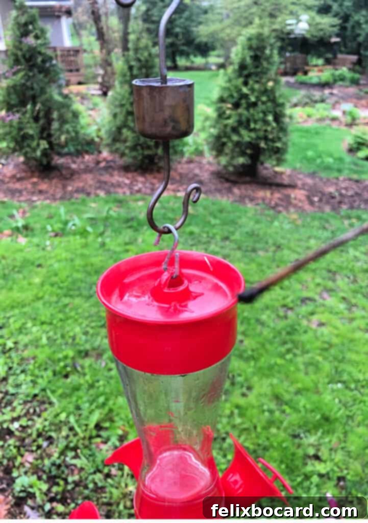 The Art of Hummingbird Feeding 8 Small copper ant guards