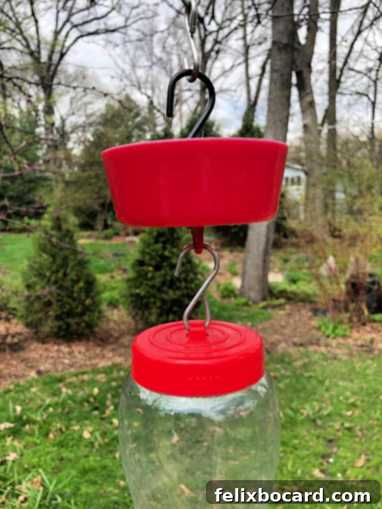 The Art of Hummingbird Feeding 9 Affordable, high-capacity red ant guard