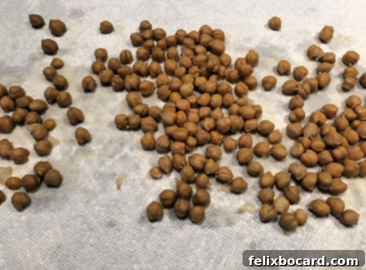 raw chickpeas drying with paper towels